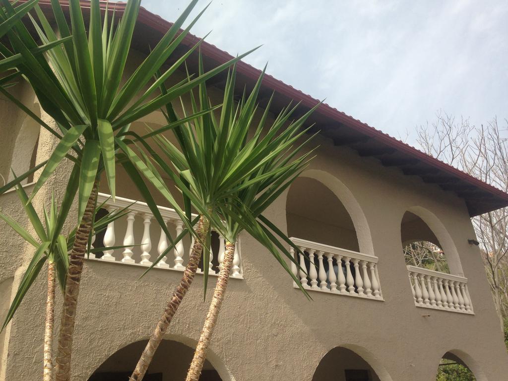 The Beach House - Apartments & Studios (Adults Only) Afytos Bagian luar foto